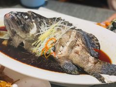 清蒸石斑鱼-隐食私房菜(老街店)