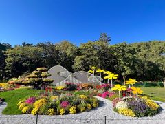 -上海共青森林公园