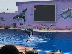 -北戴河圣蓝海洋公园