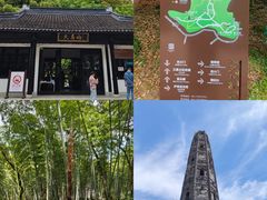 -上海佘山国家森林公园天马山园