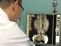 -北京博爱动物医院有限公司