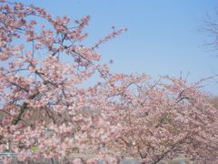 -上海辰山植物园