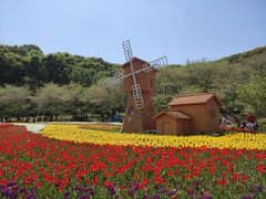 -苏州上方山国家森林公园