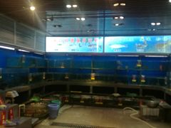 -渔米粥(罗湖店)