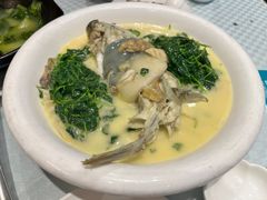 奶汤河豚-镇扬菜馆