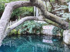 -蝴蝶泉公园