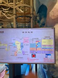 -探洞工场(重庆爱琴海旗舰店)