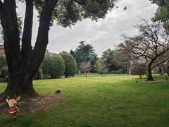 -上海兴国宾馆香樟园西餐厅