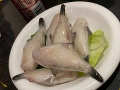 -一斗火锅·招财羊毛肚(北温泉九号店)