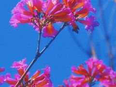 -福州大学(旗山校区)