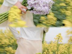 -三圣花乡旅游区