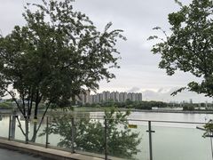 -翠山·映月湖景餐厅(映月湖公园店)