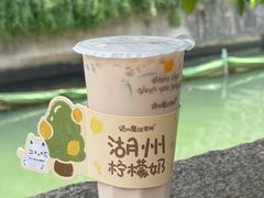 -猫的魔法密林(衣裳街店)