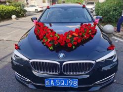 -蚂蚁婚车