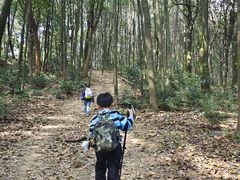 -西湖风景区十里琅珰-五云山