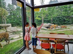 -上海野生动物园老虎餐厅