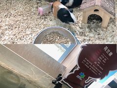 -台州海洋世界