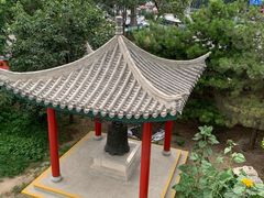 -北京八中游泳馆