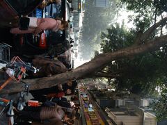 -降龙爪爪(建设路1店)