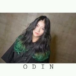 -ODIN 奥丁形象设计 