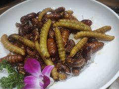 -即墨印象