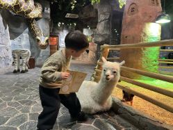 -Zoolung Zoolung动物主题公园(海信广场店)