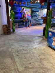 -酷嗒动物文化乐园(cutezoo西溪乐天城店)