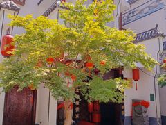 -龙泉小镇(科圣路店)