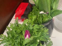 -刘一锅筋头巴脑(大悦城C店)