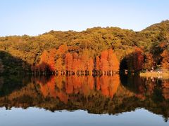 -广州市白云山风景名胜区