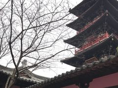 -苏州吴宫泛太平洋酒店