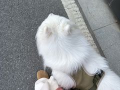 -无锡丽笙精选酒店