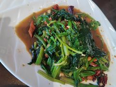 -纯肴大东北(新城北街店)