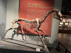 -齐齐哈尔市博物馆