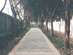 -西南政法大学(渝北校区)