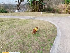 -白鹭湾湿地公园