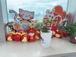 -瓷肌博士·祛痘科技美肤