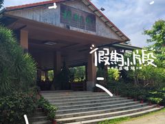 -兴隆槟榔园休闲农庄