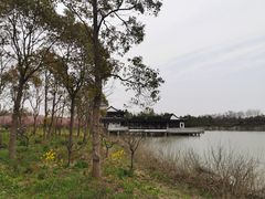 -上海海湾国家森林公园