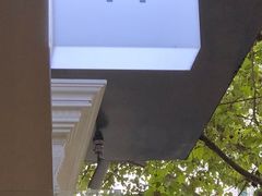 -常识咖啡common sense(春熙路店)