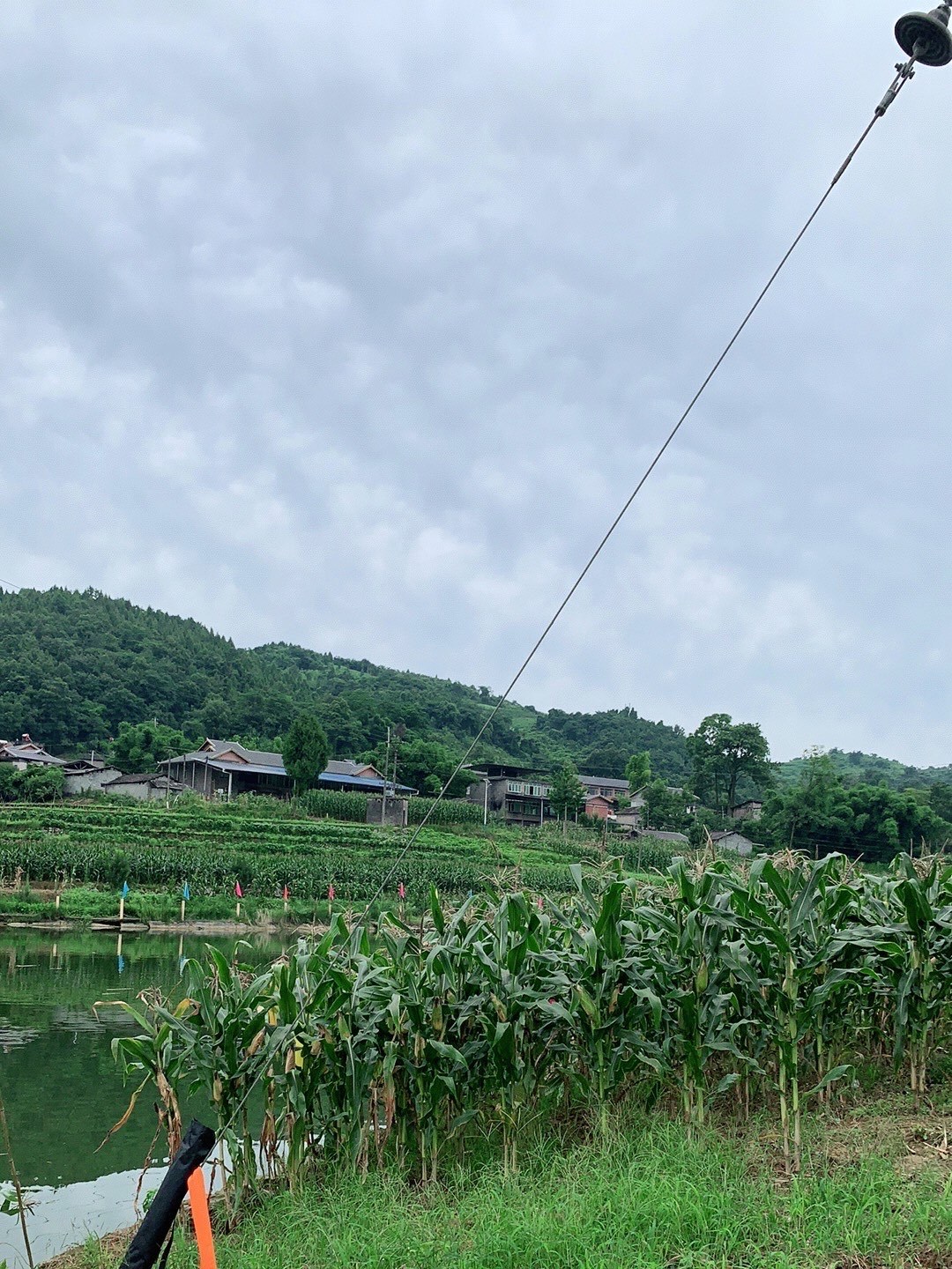 涪陵桂花苑度假村图片