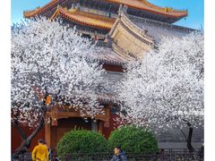 -雍和宫