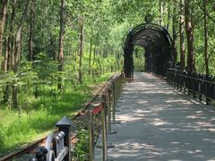 -合肥滨湖国家森林公园