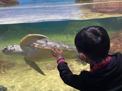 -江和美海洋公园