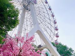 -东湖磨山景区