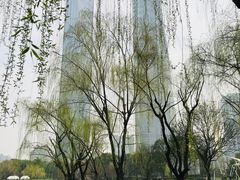 -陆家嘴中心绿地