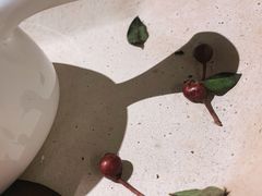 -觅见咖啡馆(艺展中心店)