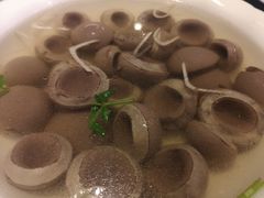 -老白肉馆(临江小区店)
