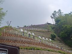 -莫干山风景区