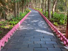 -黄山翡翠谷景区